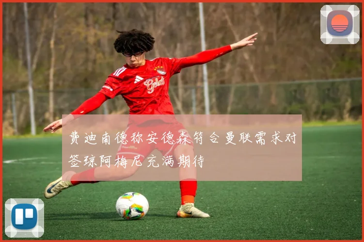 费迪南德称安德森符合曼联需求对签琼阿梅尼充满期待